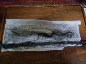 120568059_166424991759822_2524015464826730892_n