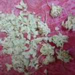 139724861_1349979142008164_8071257976820398896_o